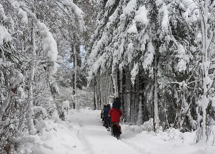 Dom wakacyjny Valgrange